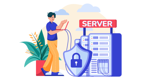 Web Server and Website Development